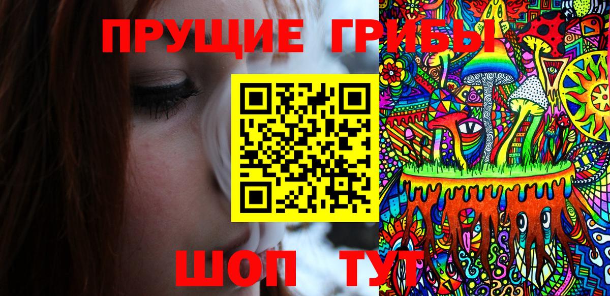 Псилоцибиновые грибы GOLDEN TEACHER  Вход с VPN  цена наркотик  Нурлат  Псилоцибиновые грибы MAGIC MUSHROOMS 